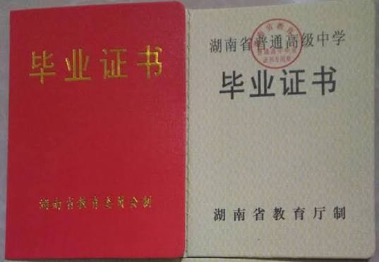 证件证书样本4
